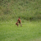 normal_03072011reheffaktivnews_18.jpg