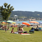 Sommerprogramm 2011 _5__jpg-1309710070