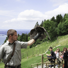 Sommerprogramm 2011 _27__jpg-1309710437