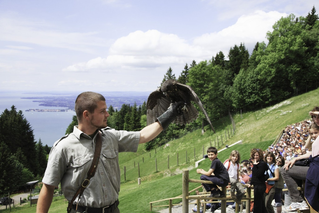 Sommerprogramm 2011 _27__jpg-1309710437