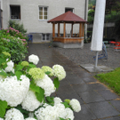 DSCN9815_JPG-1309711556