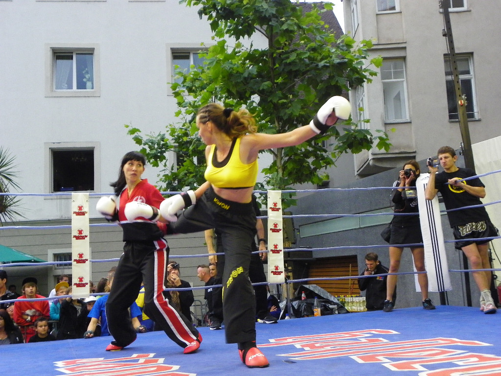 111_6640_JPG-1309713526