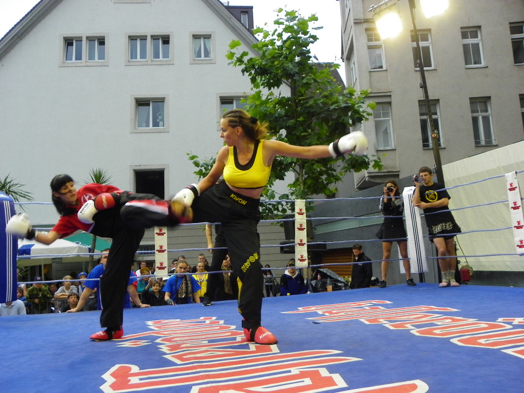 111_6643_JPG-1309713535