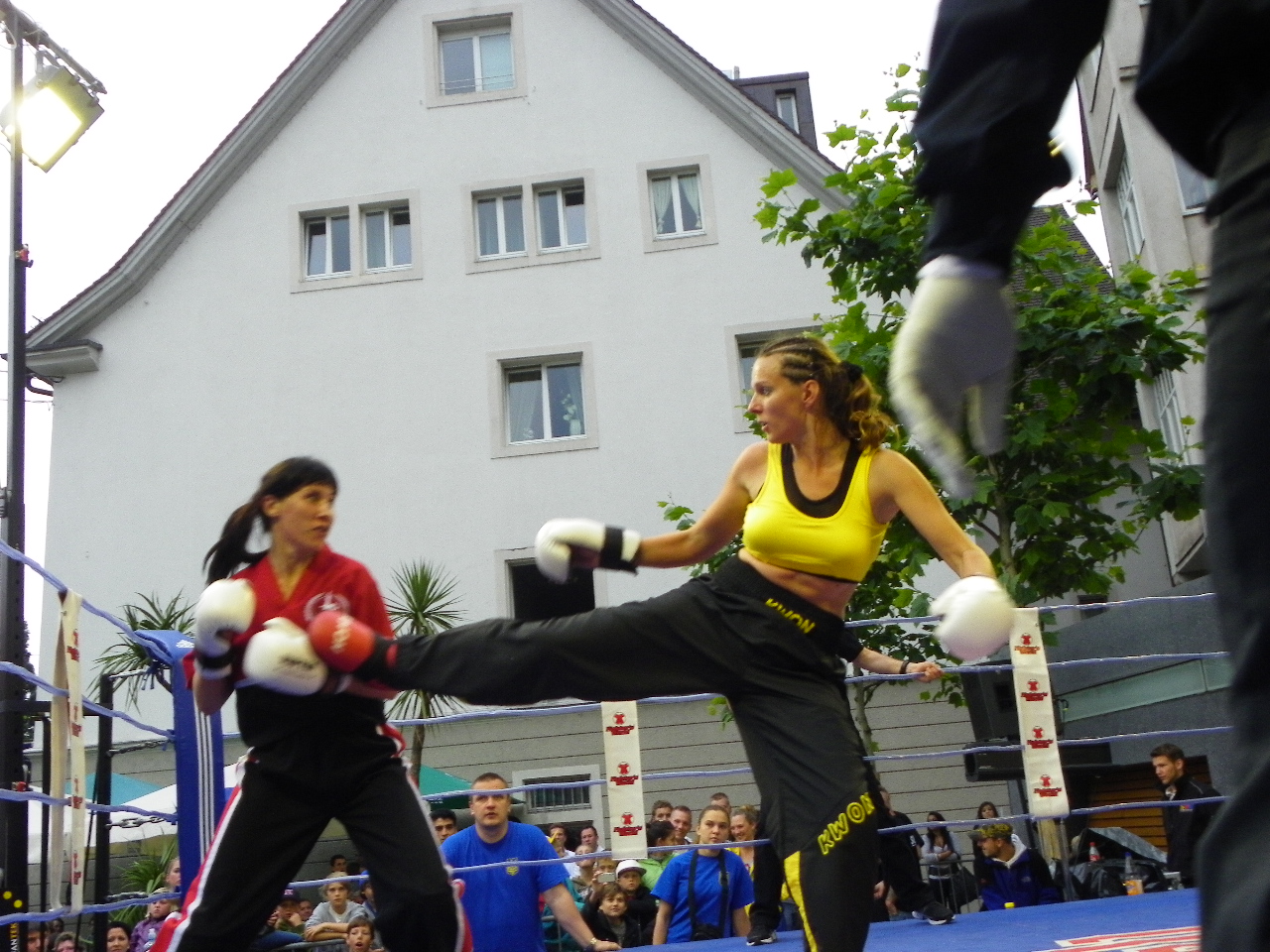 111_6657_JPG-1309713544