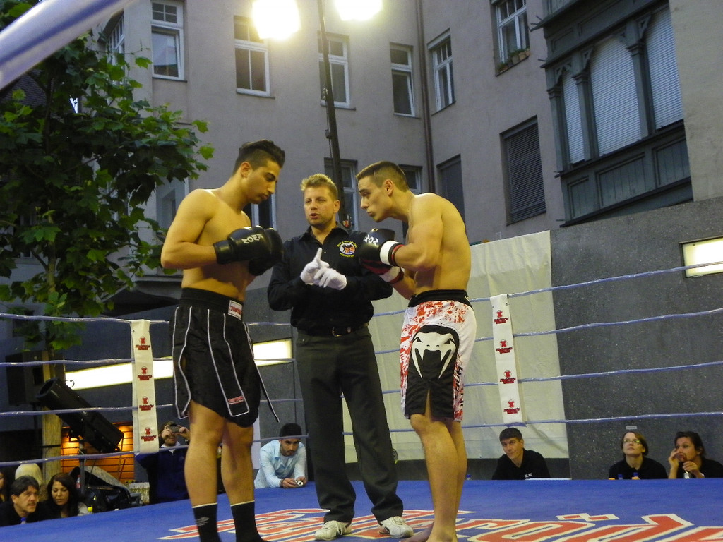 111_6866_JPG-1309713914