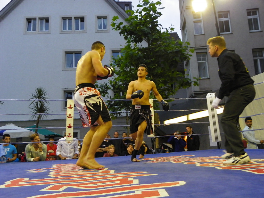 111_6881_JPG-1309713933