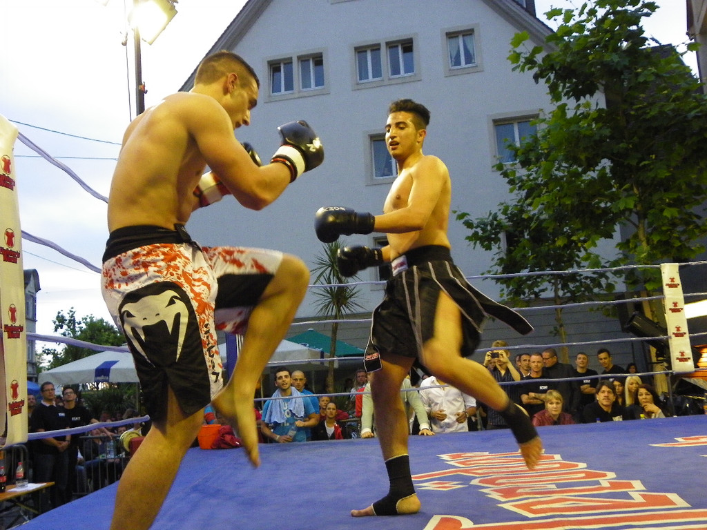 111_6898_JPG-1309713952