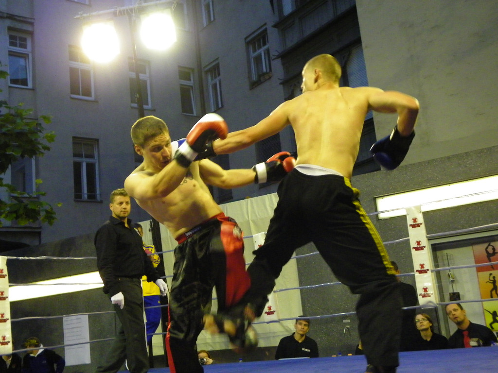 111_6942_JPG-1309713990