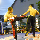 111_6956_JPG-1309713999