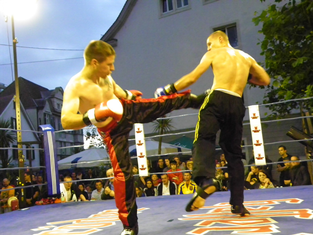 111_6956_JPG-1309713999