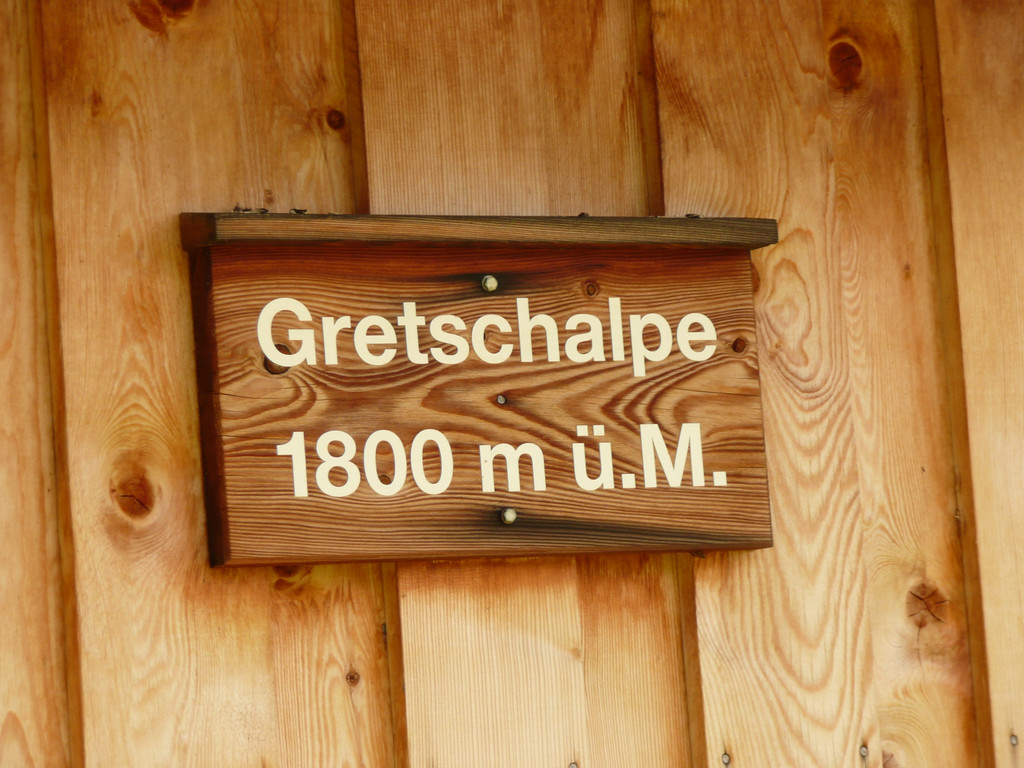 P1080954.JPG