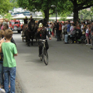IMG_8299 _Large__JPG-1309728928