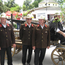 IMG_8248 _Large__JPG-1309728895