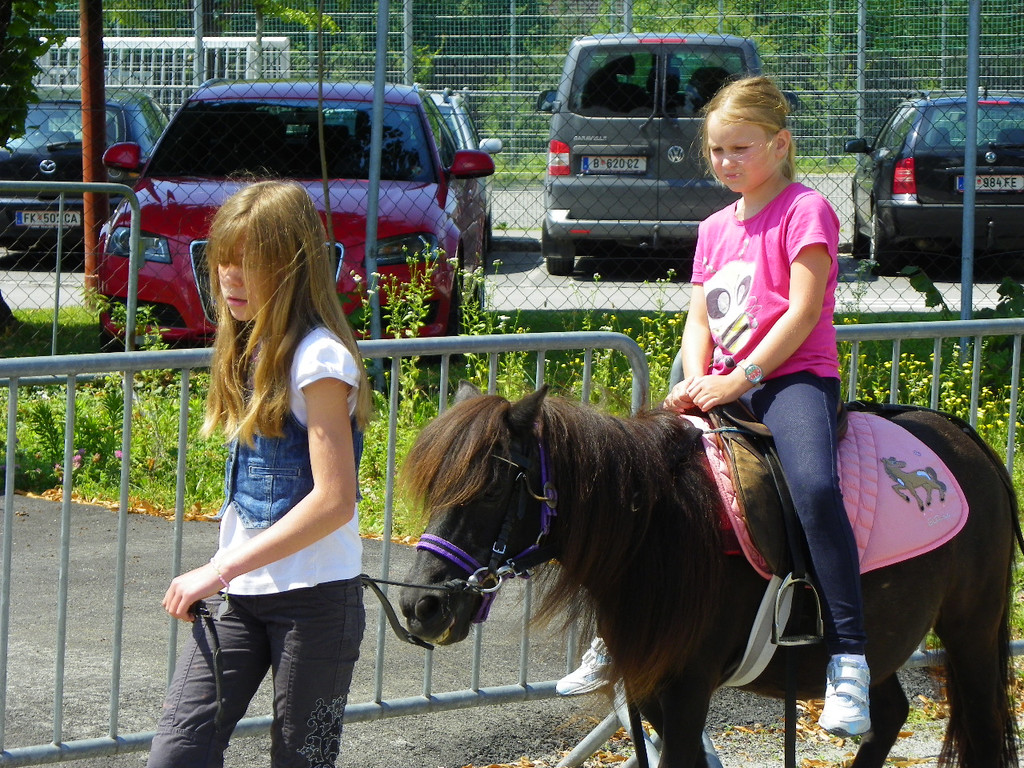 111_7966_JPG-1309731287