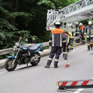 normal_IMG_0145_Kopie.jpg