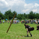 DSC_2920 _Large__JPG-1309760903