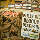 PETA3.jpg