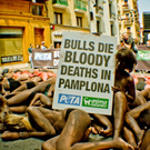 PETA4.jpg