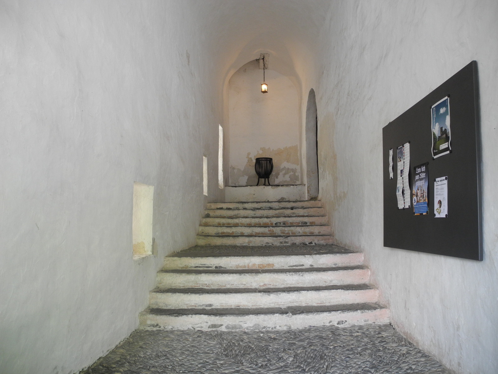 DSCN6881_JPG-1309782798