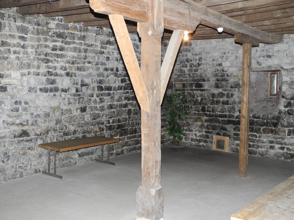 DSCN6888_JPG-1309782824