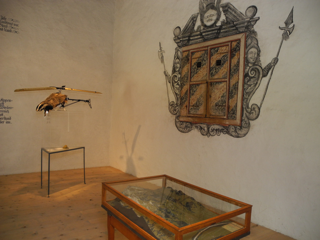 DSCN6905_JPG-1309782998