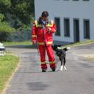 Bilder der Übung