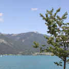 normal_070411wettergmaktivnews01.JPG