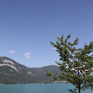 normal_070411wettergmaktivnews02.JPG