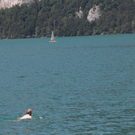 normal_070411wettergmaktivnews12.JPG