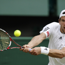 Melzer unterliegt Roddick