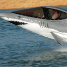 DSCN5865.jpg