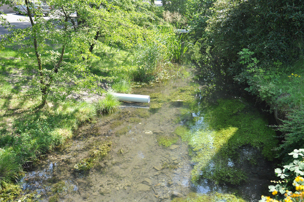 dorfbach3_jpg-1309865667