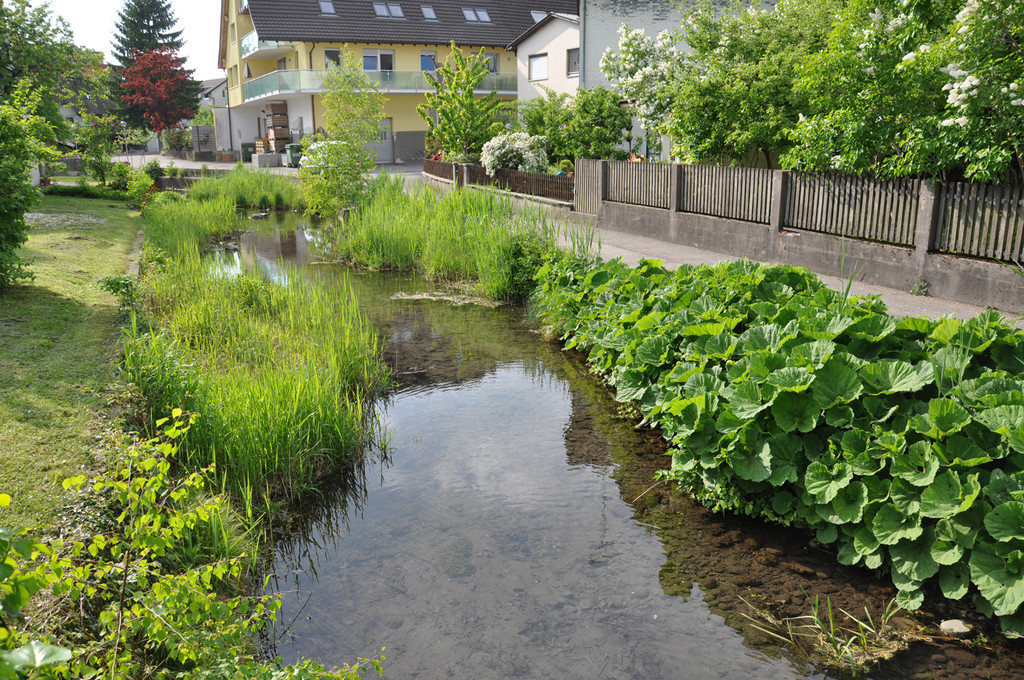 dorfbach3a_jpg-1309865689