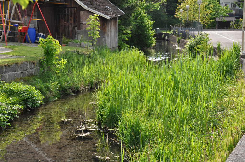 dorfbach4a_jpg-1309865722
