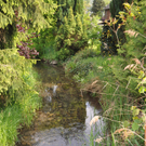 dorfbach7_jpg-1309865889