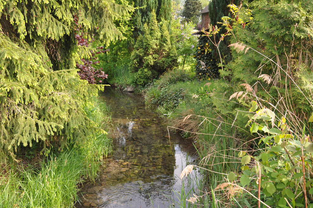 dorfbach7_jpg-1309865889