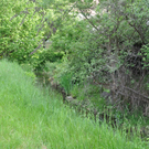 dorfbach8_jpg-1309866297