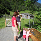 DSCN5785_JPG-1309868939