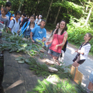 Ardetzenberger Walspiele 013.jpg