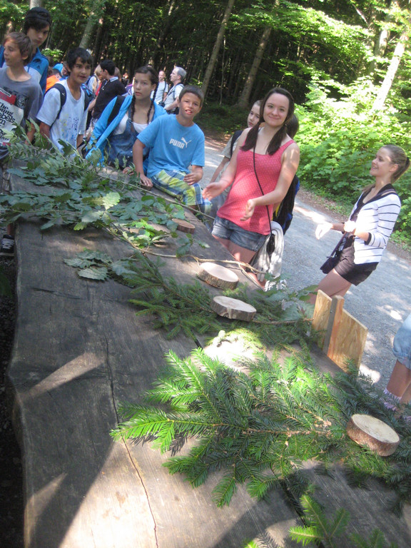 Ardetzenberger Walspiele 013.jpg