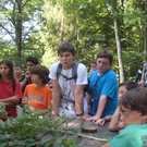 Ardetzenberger Walspiele 014.jpg