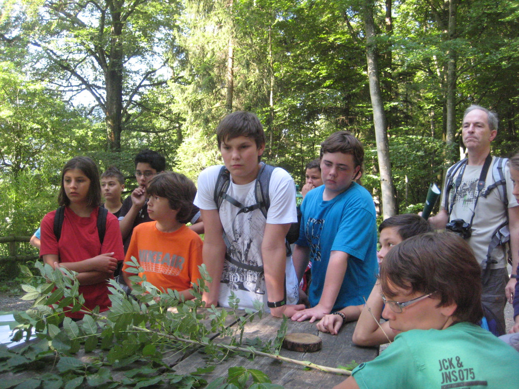 Ardetzenberger Walspiele 014.jpg