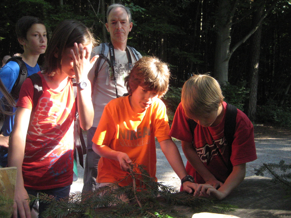 Ardetzenberger Walspiele 017.jpg