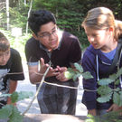 Ardetzenberger Walspiele 018.jpg