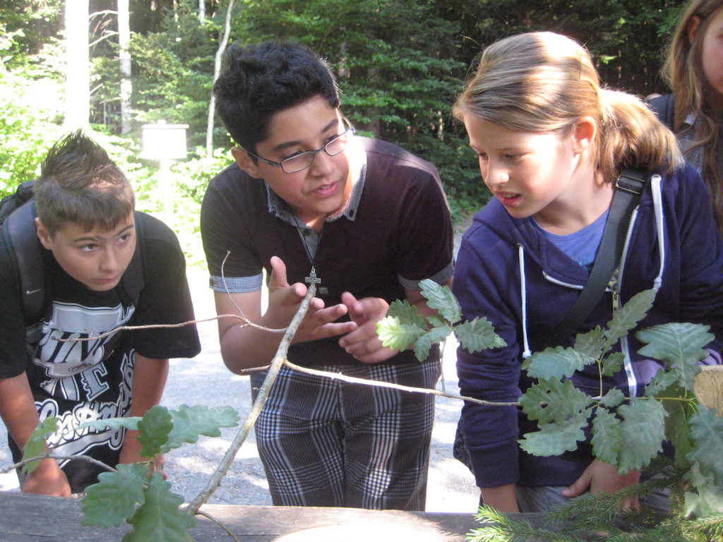 Ardetzenberger Walspiele 018.jpg