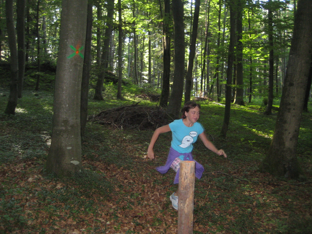 Ardetzenberger Walspiele 029.jpg