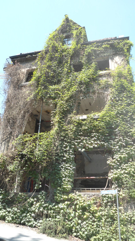 DSC06223_JPG-1309890256