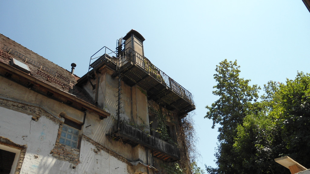 DSC06229_JPG-1309890376