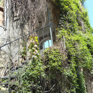 DSC06230_JPG-1309890392