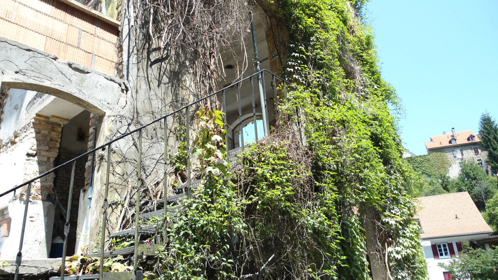 DSC06230_JPG-1309890392